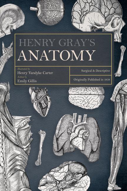 Gray, H: Henry Gray's Anatomy