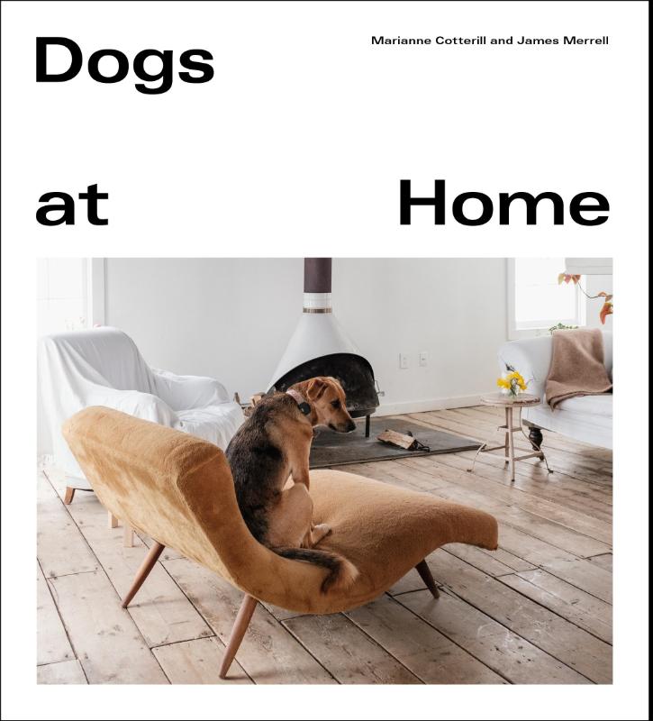 Dogs at Home