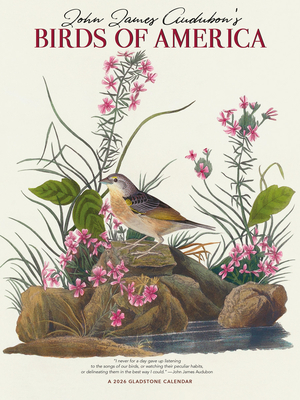 Audubons Birds Of America Deluxe Wall Su