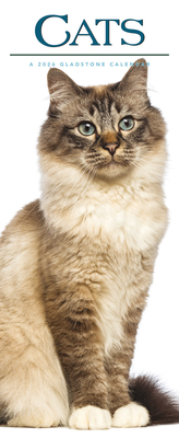 Cats Deluxe Slim Sunday Start Calendar 2