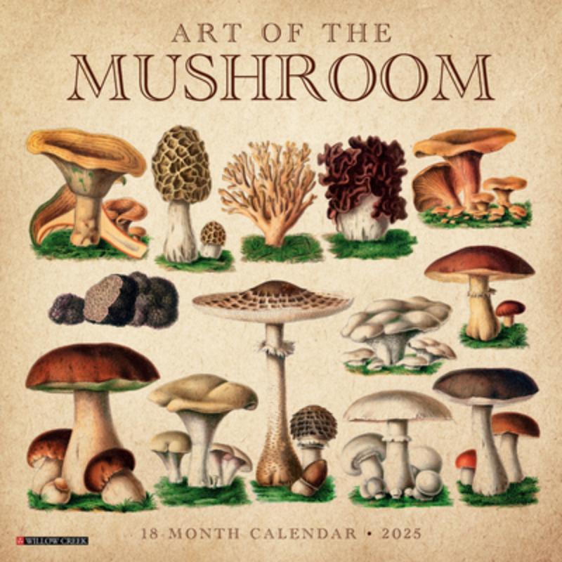 Willow Creek Press: Art of the Mushroom 2025 12 X 12 Wall Ca