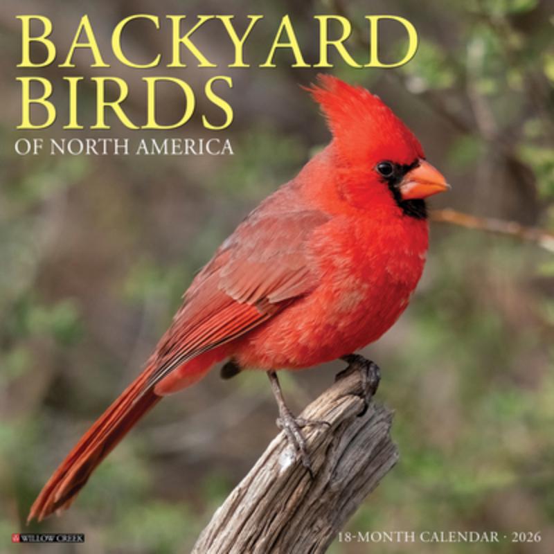 Backyard Birds 2026 Wall Calendar