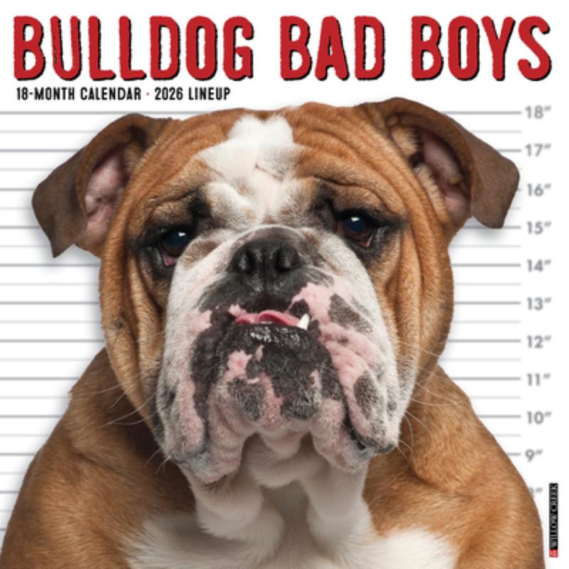 Bulldog Bad Boys 2026 Wall Calendar
