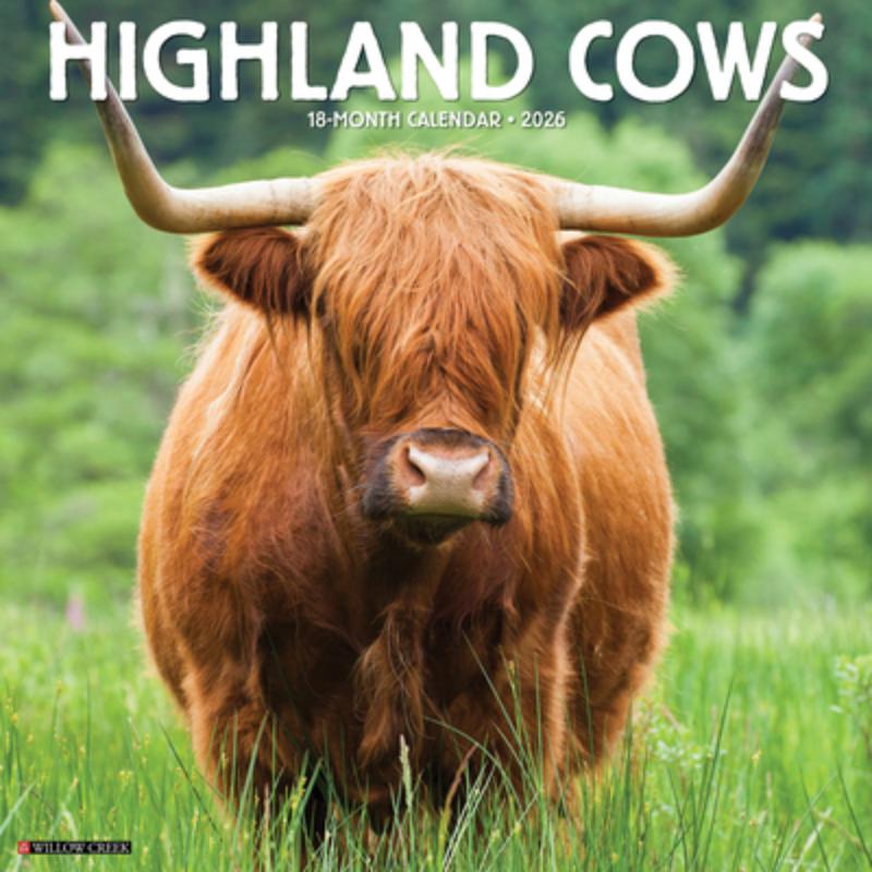 Highland Cows 2026 Wall Calendar
