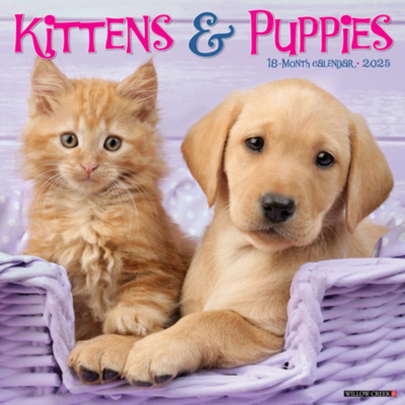 Kittens & Puppies 2026 Wall Calendar