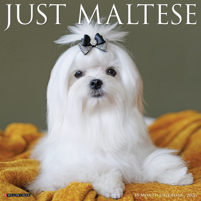Maltese 2026 Wall Calendar