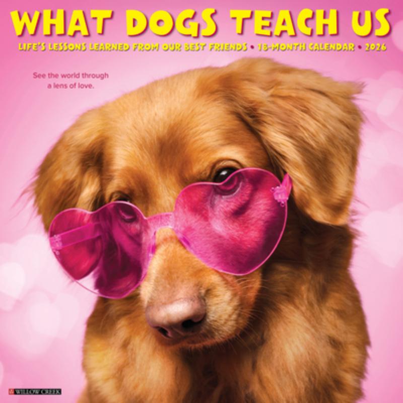 What Dogs Teach Us 2026 Wall Calendar