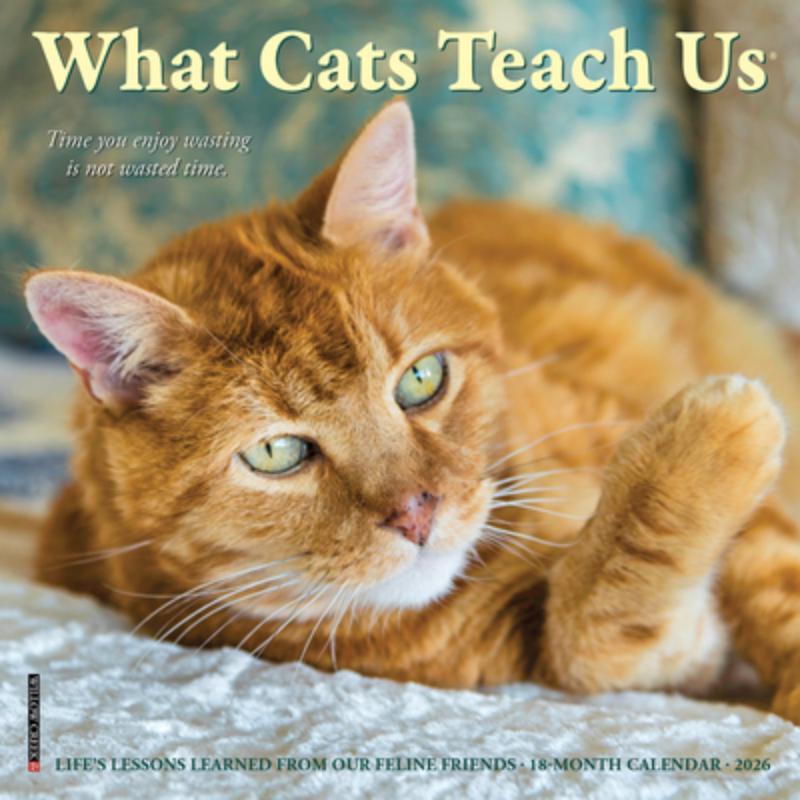 What Cats Teach Us 2026 Mini Wall Calendar