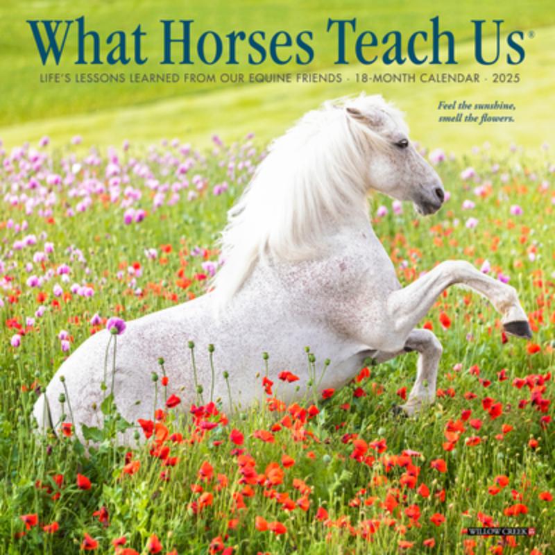 What Horses Teach Us 2026 Mini Wall Calendar