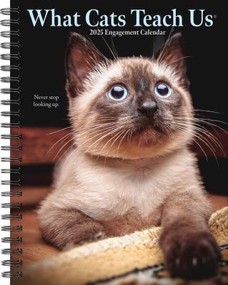 What Cats Teach Us 2026 Engagement Calendar