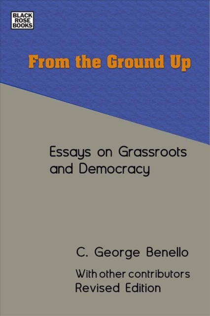 From the Ground Up - Essays on Grassroots Democracy