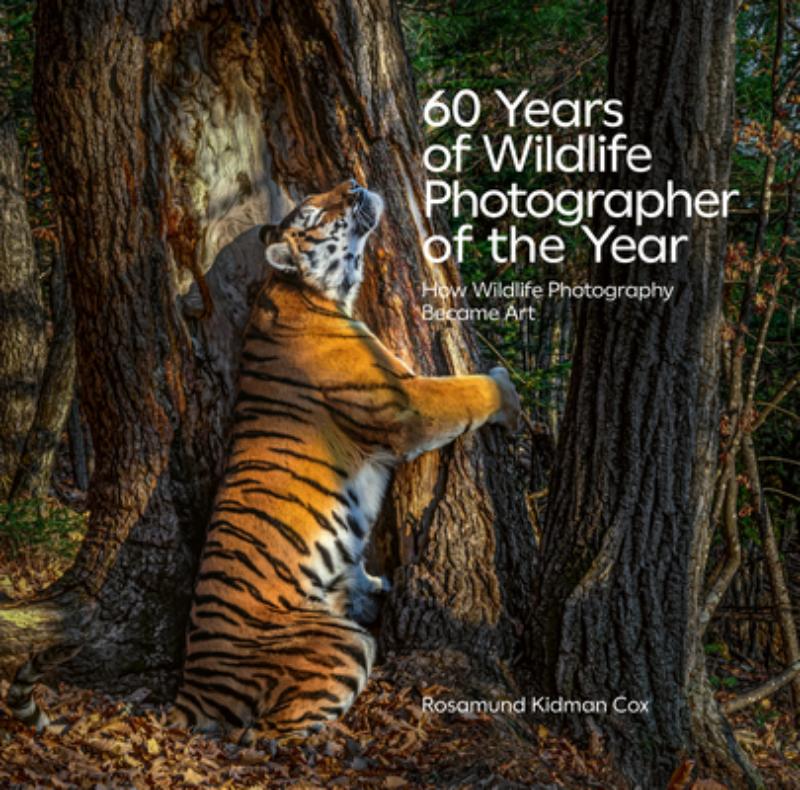 Cox, R: 60 Years of Wildlife Photographer of the Year