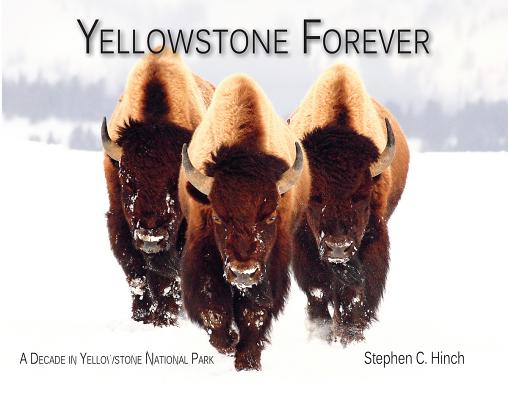 YELLOWSTONE FOREVER