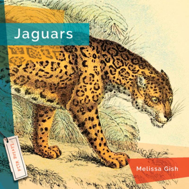 Jaguars