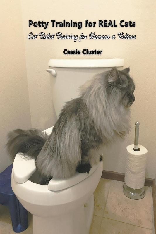 Potty Training for Real Cats
