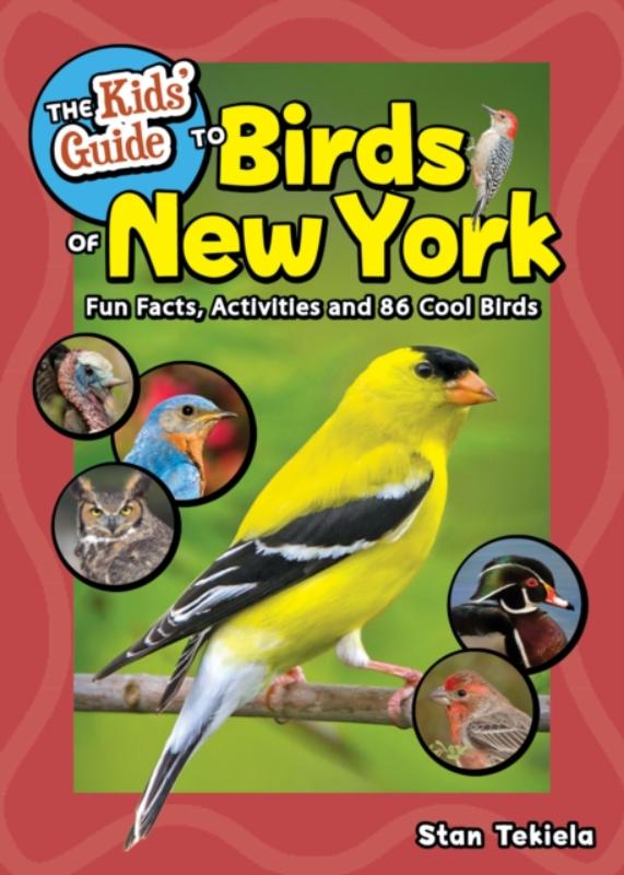 Kids' Guide to Birds of New York