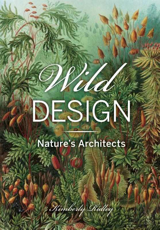 Wild Design