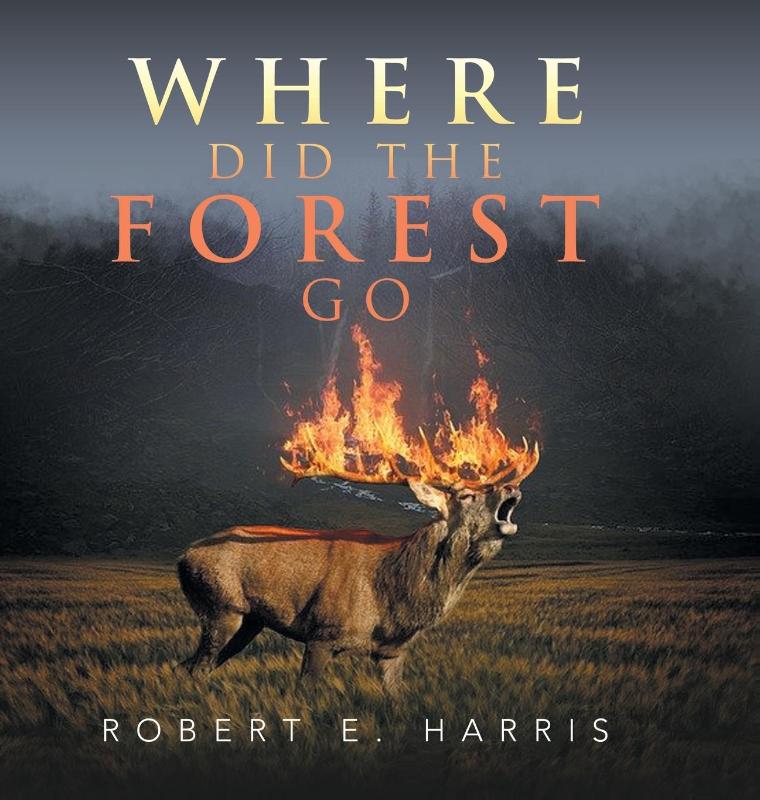 Where Did the Forest Go