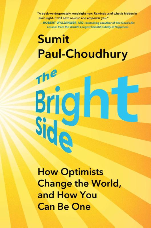 Paul-Choudhury, S: Bright Side