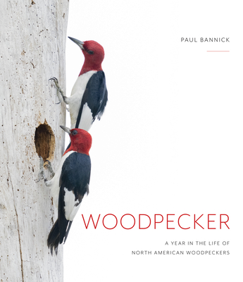 Woodpecker: A Year in the Life of North American Woodpeckers