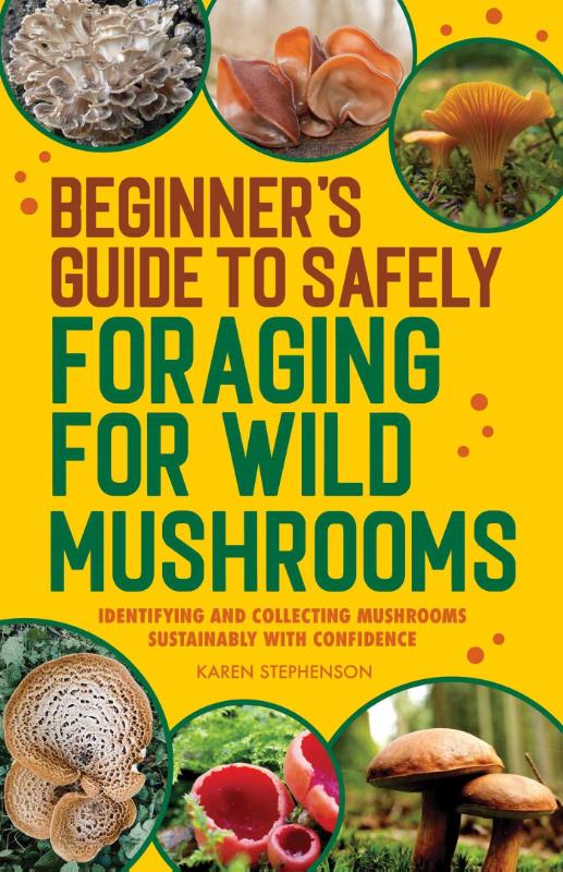 Beginner's Guide to Safely Foraging for Wild Mushrooms