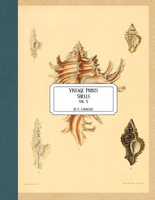 Vintage Prints: Shells: Vol. 5