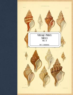 Vintage Prints: Shells: Vol. 8