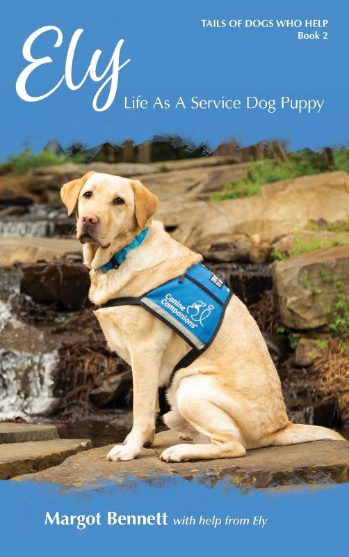 Ely, Life As A Service Dog Puppy