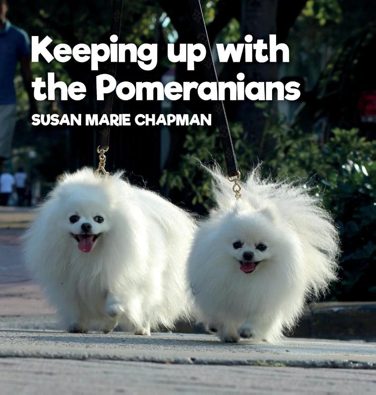 Keeping Up With The Pomeranians