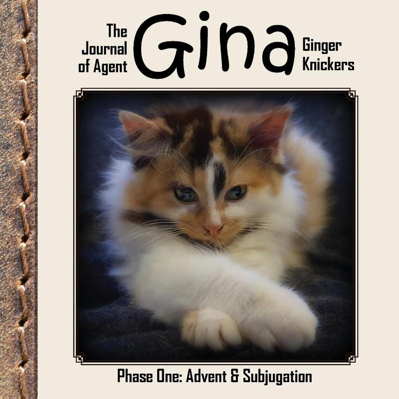 The Journal of Agent Gina Ginger Knickers, Phase One