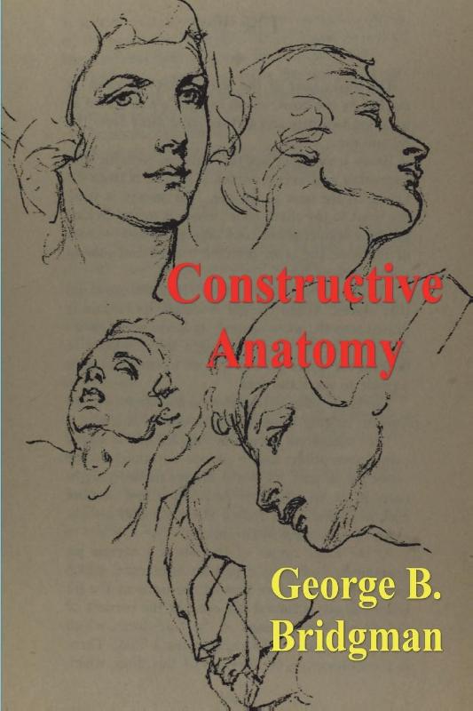 Constructive Anatomy