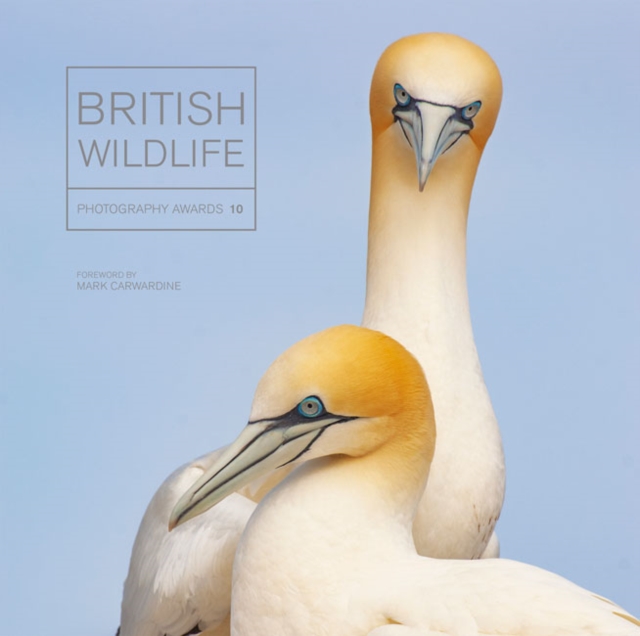 British Wildlife Photography Awards 10