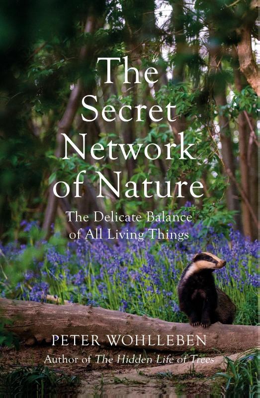 The Secret Network of Nature