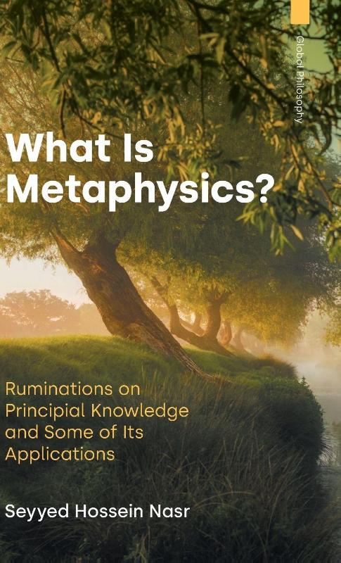 What Is Metaphysics?