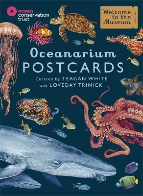 Oceanarium postcards