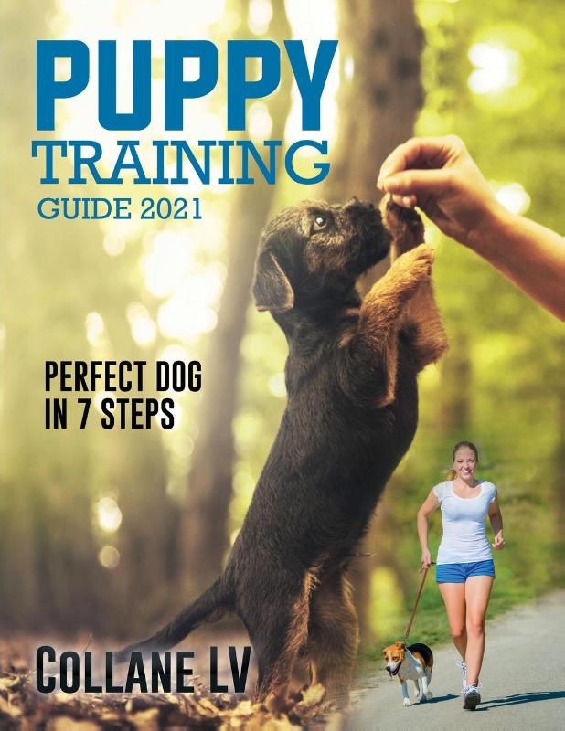 Puppy Training Guide 2021