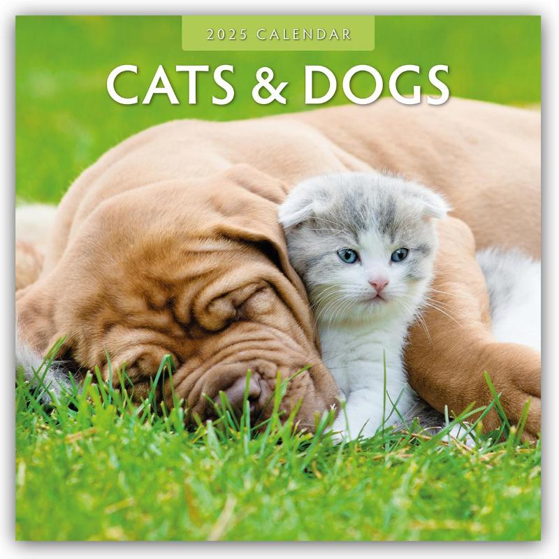 Cats & Dogs 2025 Square Wall Calendar
