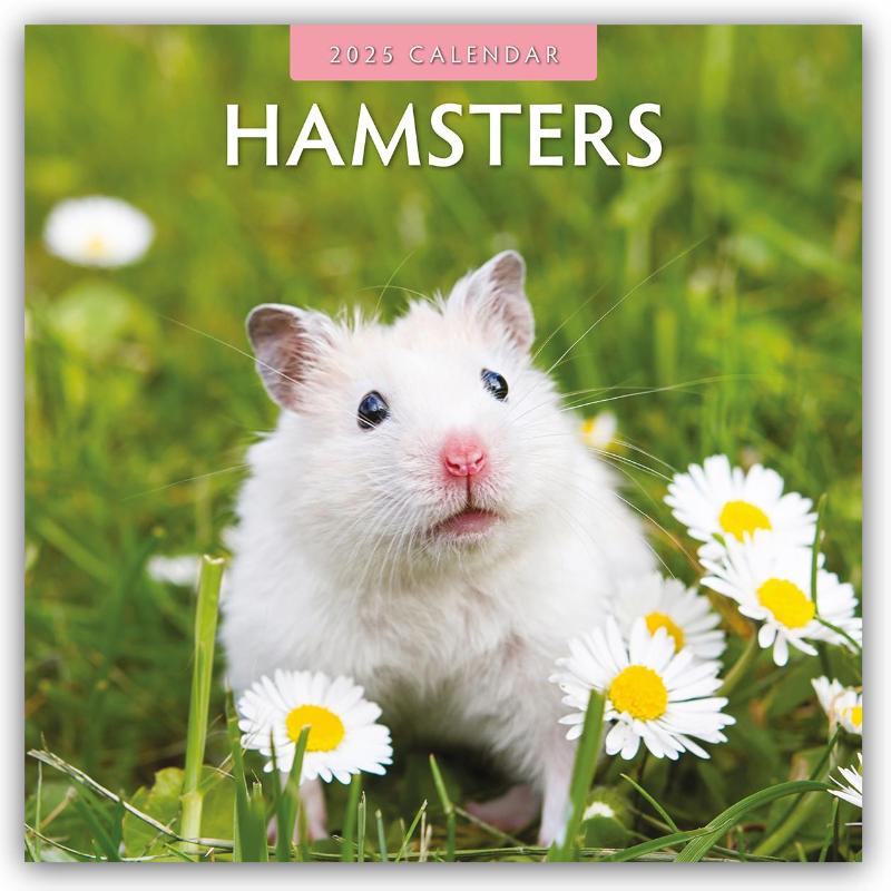 Hamsters 2025 Square Wall Calendar