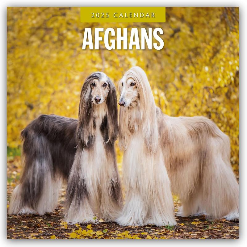 Afghans 2025 Square Wall Calendar