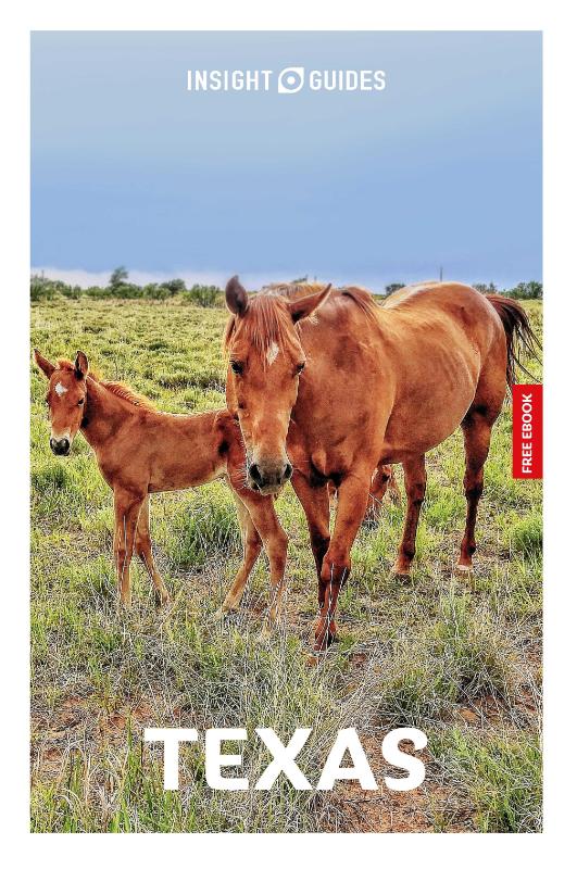 Insight Guides Texas: Travel Guide with eBook