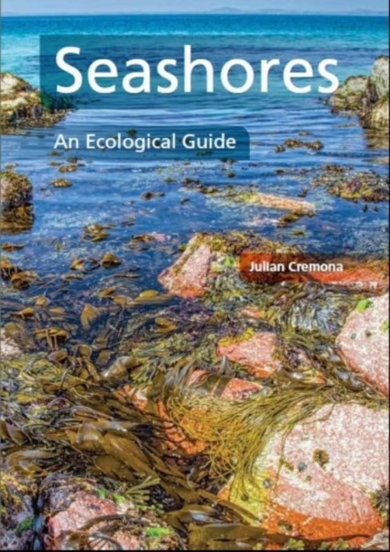 Seashores