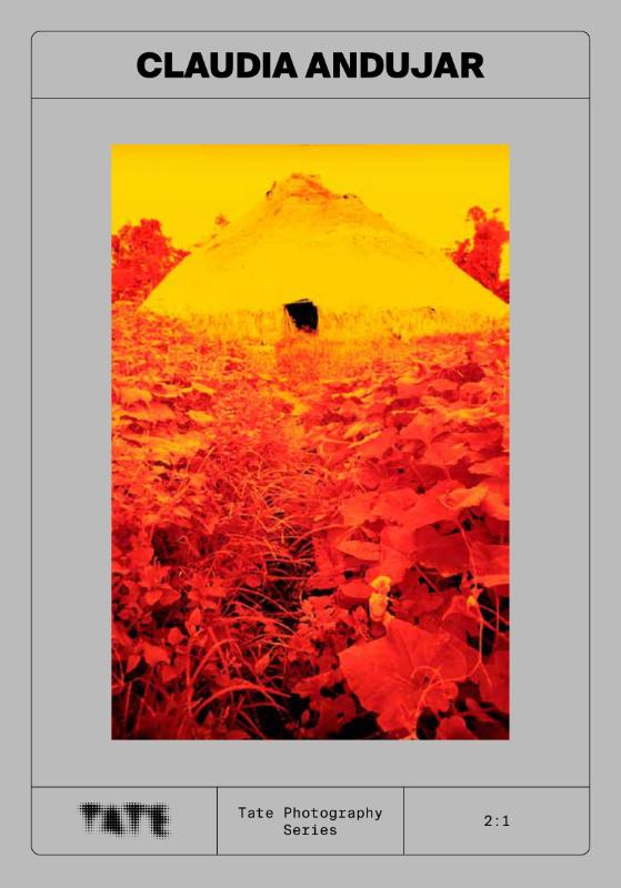 Tate Photography: Claudia Andujar