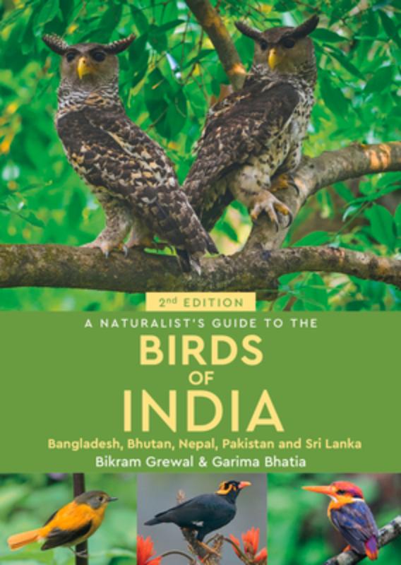 A Naturalist's Guide to the Birds of India