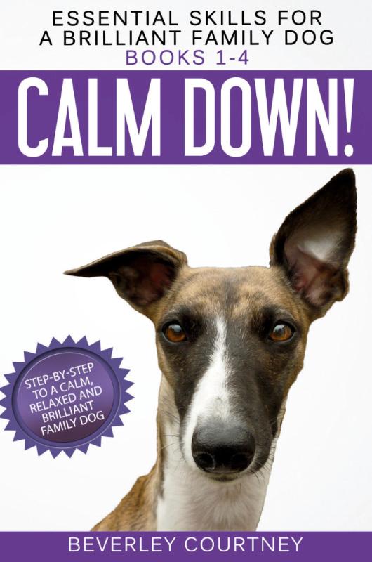 Essential Skills for a Brilliant Family Dog