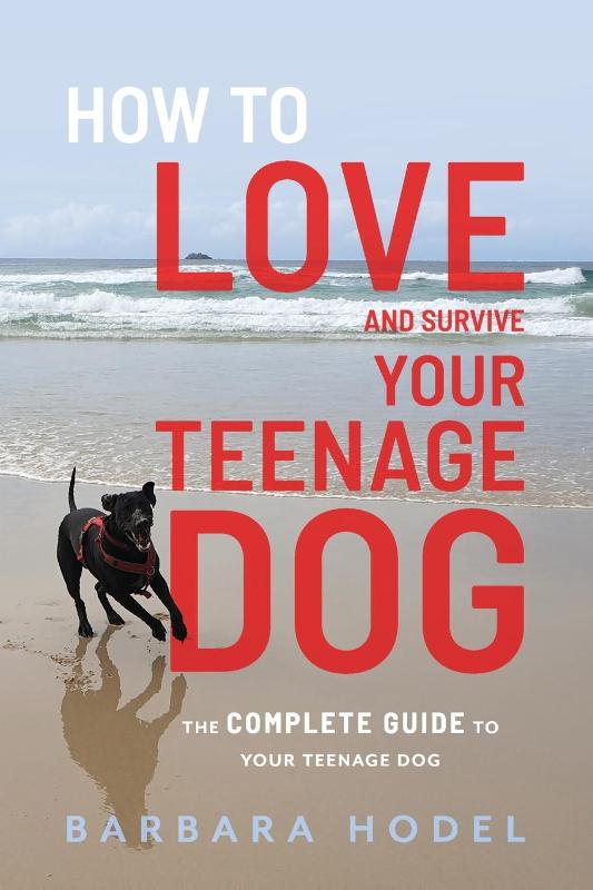 How to Love and Survive Your Teenage Dog