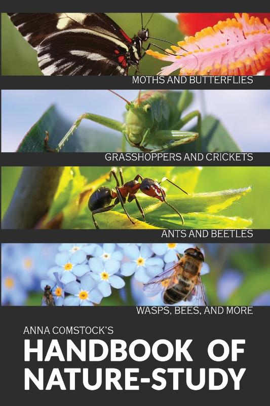 The Handbook Of Nature Study in Color - Insects