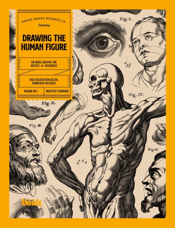 Drawing the Human Figure