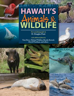 Hawaii's Animals & Wildlife