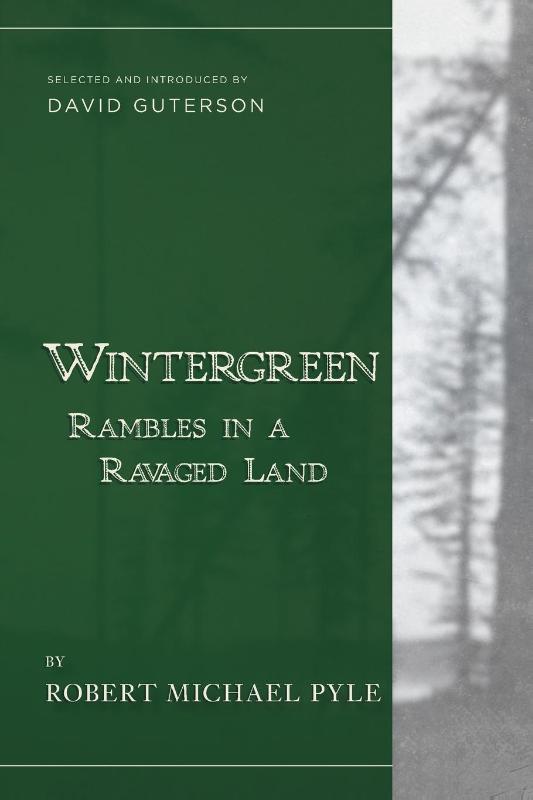 Wintergreen