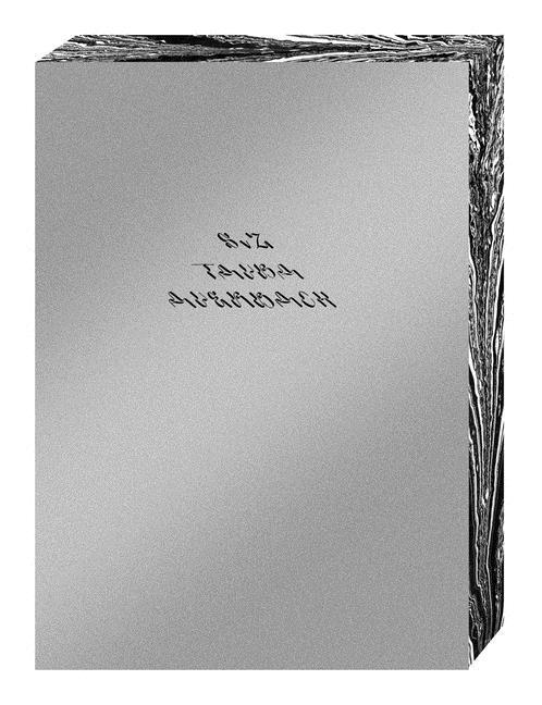 Tauba Auerbach - S v Z